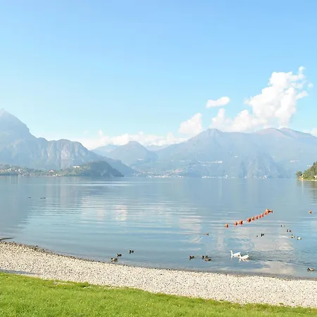 The Lake Swan * Lierna